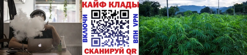Где продают наркотики Емва Кокаин  ГАШИШ  APVP  Канабис 