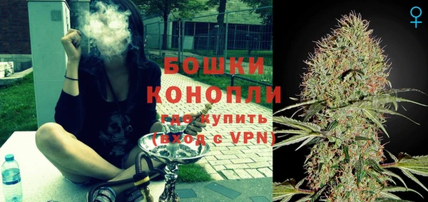 гашик Бикин